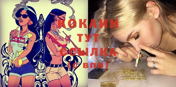 эйфоретик Богданович