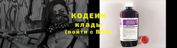 эйфоретик Богданович