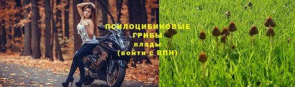 дурь Богородск