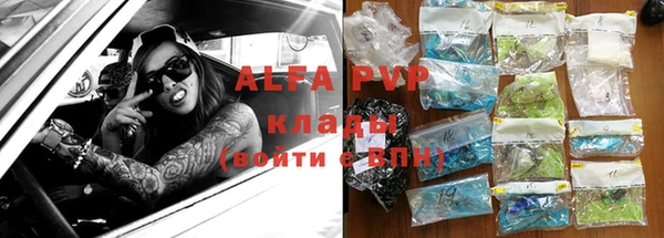 эйфоретик Богданович