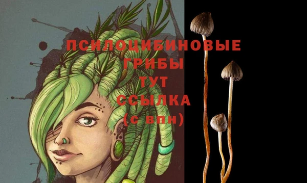 винт Богородицк
