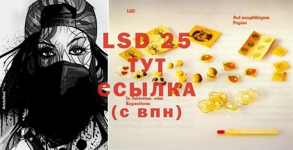 эйфоретик Богданович