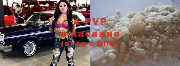 эйфоретик Богданович