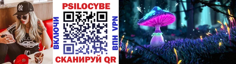 hydra как войти  цены наркотик  Кострома  darknet телеграм  Псилоцибиновые грибы Magic Shrooms 